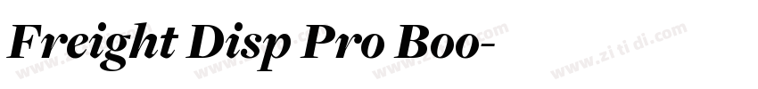 Freight Disp Pro Boo字体转换
